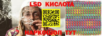 прущие грибы Кандалакша