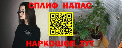 прущие грибы Кандалакша