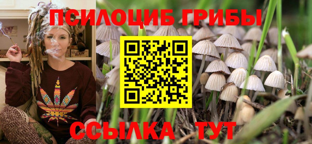Коммунар  Псилоцибиновые грибы GOLDEN TEACHER  Вход с VPN  Псилоцибиновые грибы мухоморы 
